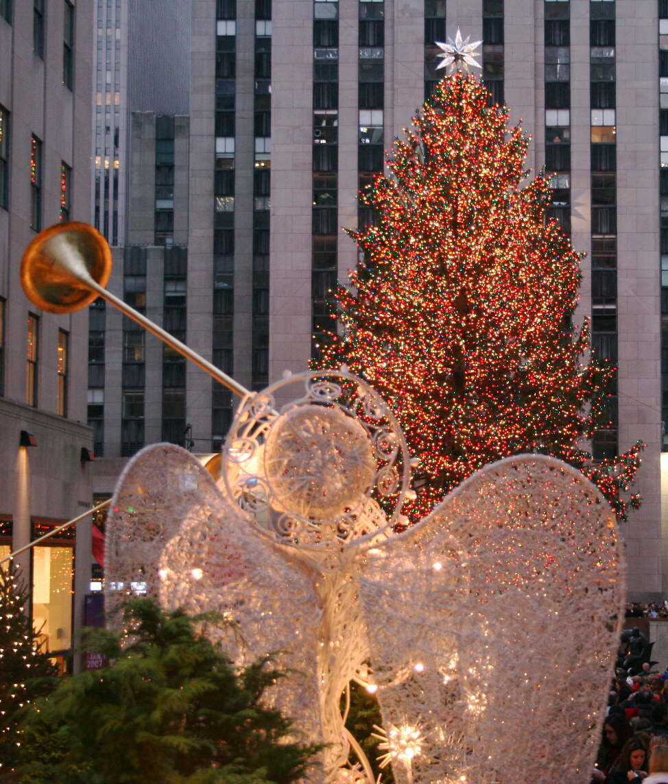 Image for Yule