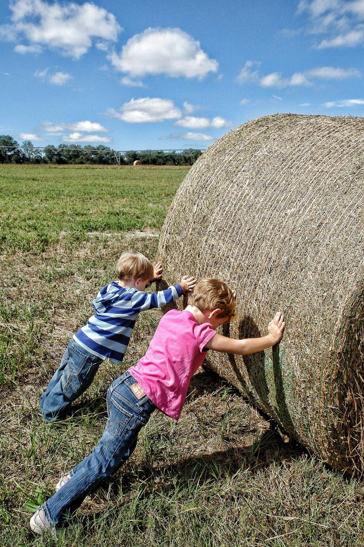 Image for National Farm to School Month