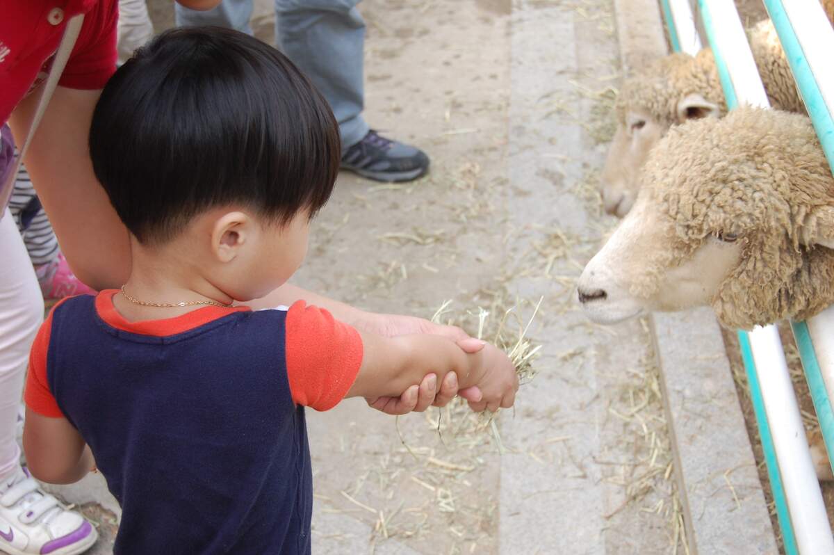 Image for Tenderness Toward Existence Day